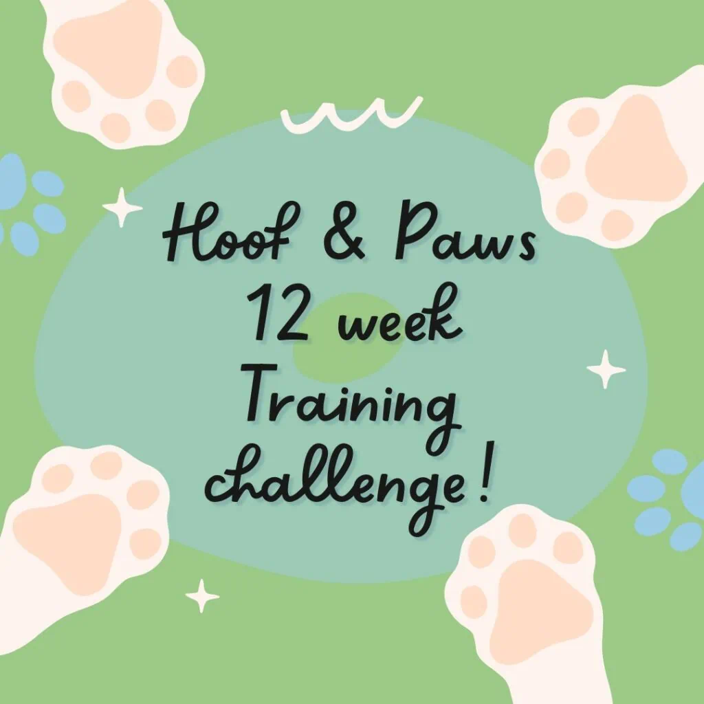 Join Hoof & Paws Dog Training Challenge