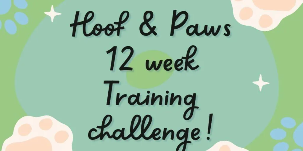 Join Hoof & Paws Dog Training Challenge